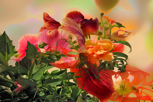 1028247 (a): :1920x1274
